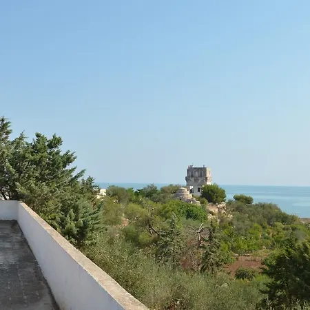 Torrelama & Breakfast 4*