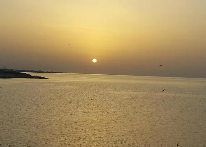 בית הארחה Torrelama & Breakfast